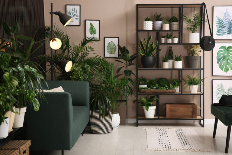 Low Light Indoor Plants: Bringing Greenery into Your Home with Ease