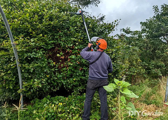 Modern Power Tools for Outdoor Cleaning: How SnapFresh Is Making Yard Work Easier