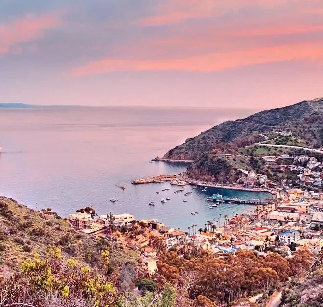 Catalina Island: A Paradise Worth Exploring