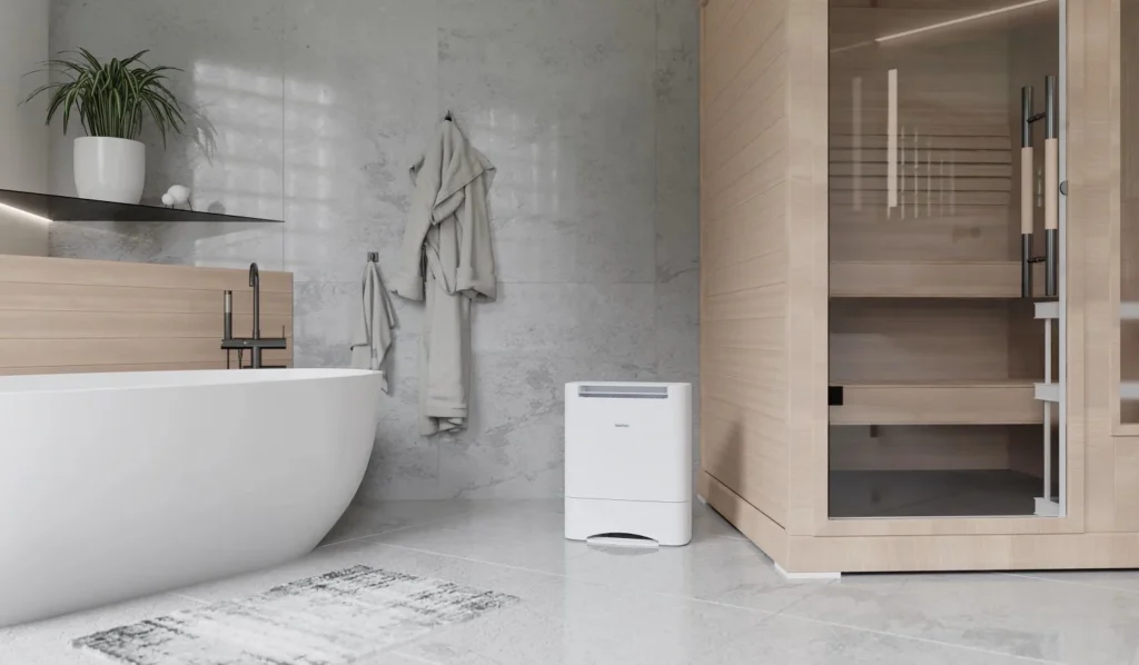 Bathroom Dehumidifier