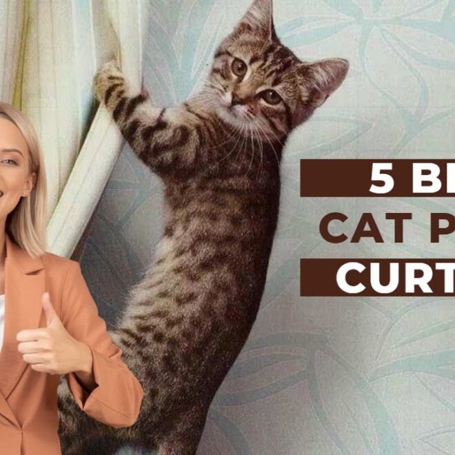 Cat Proof Curtains: The Ultimate Guide to Protecting Your Home