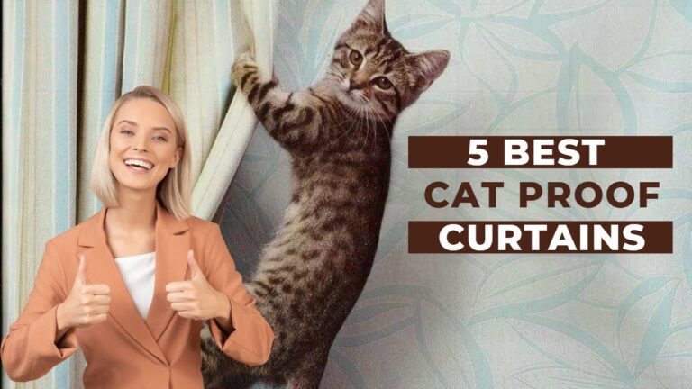 Cat Proof Curtains: The Ultimate Guide to Protecting Your Home